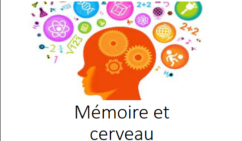 Mémoire et cerveau