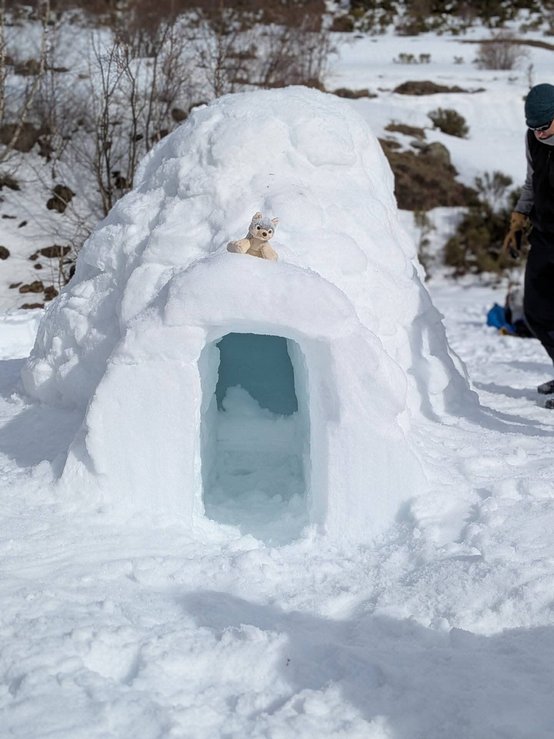 L'igloo !